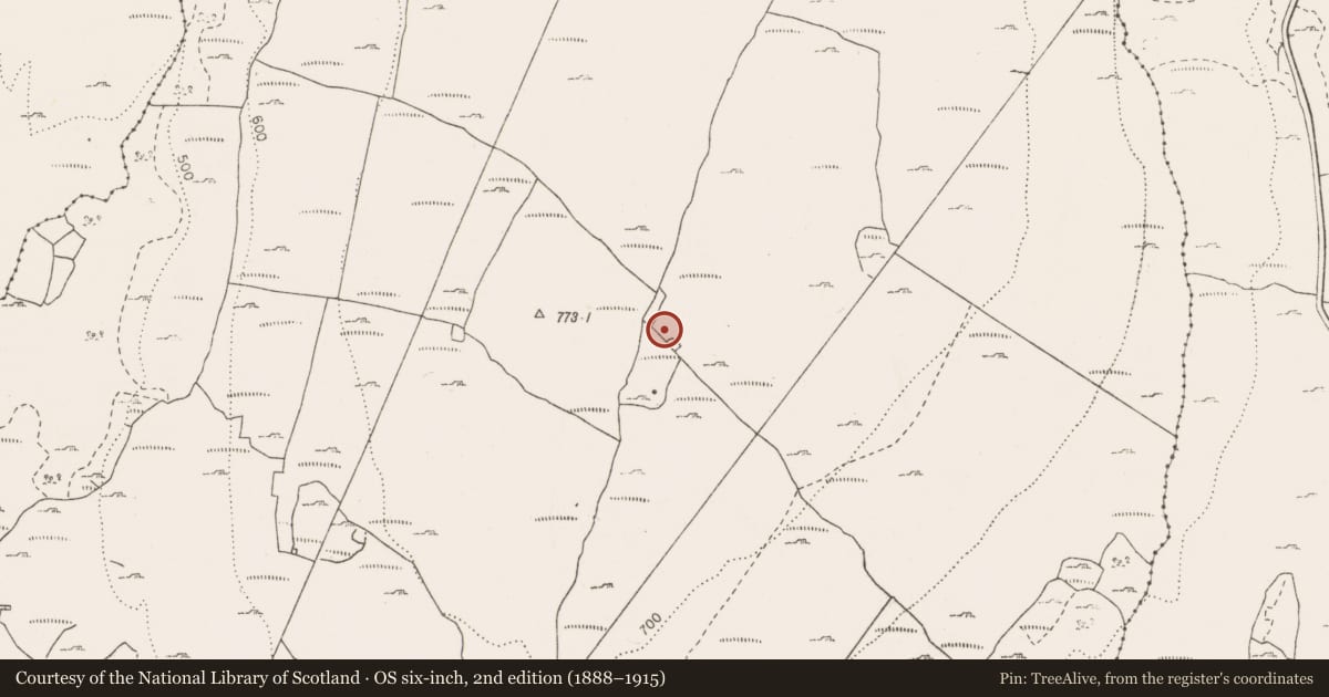 Ordnance Survey six-inch map, 2nd edition (1888–1915) covering the location of Cairn - unclassified, Termon, County Clare, with a pin at the register's coordinates