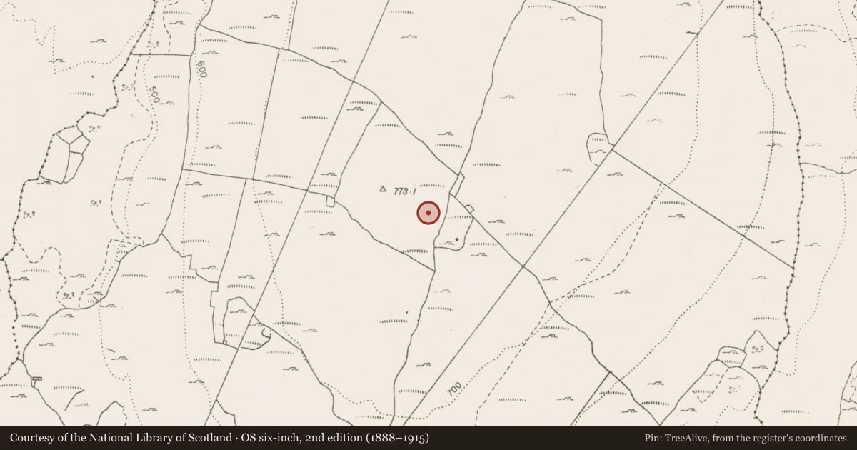 Ordnance Survey six-inch map, 2nd edition (1888–1915) covering the location of Cairn - unclassified, Termon, County Clare, with a pin at the register's coordinates