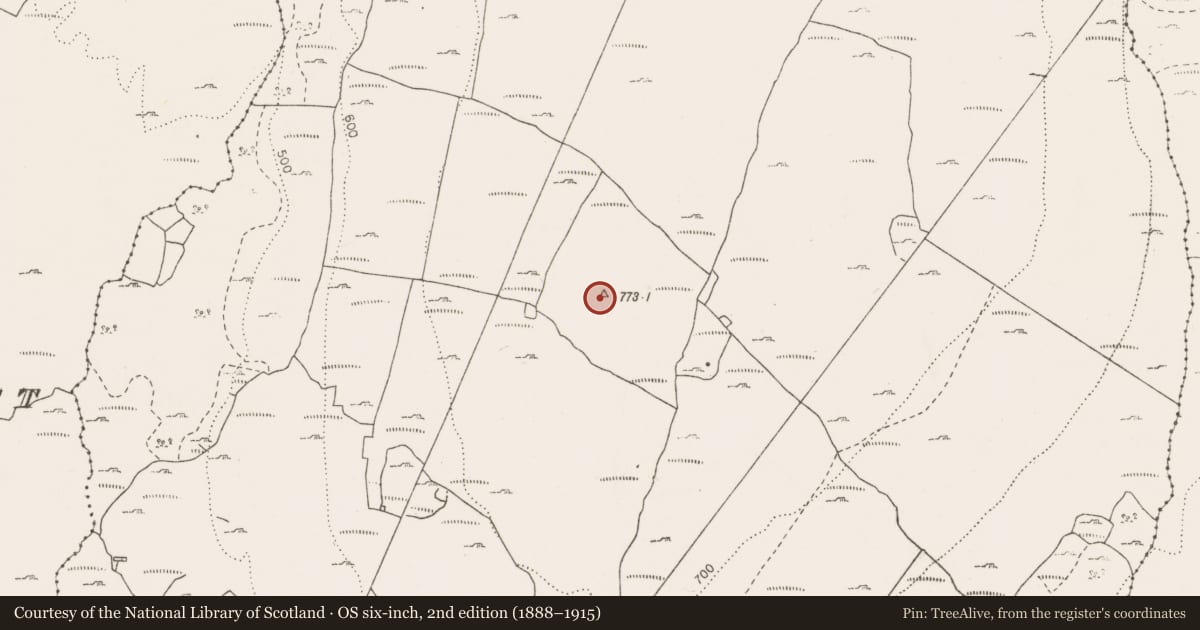 Ordnance Survey six-inch map, 2nd edition (1888–1915) covering the location of Cairn - unclassified, Termon, County Clare, with a pin at the register's coordinates