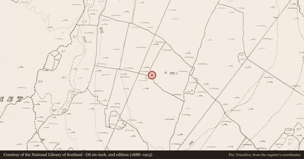 Ordnance Survey six-inch map, 2nd edition (1888–1915) covering the location of Cairn - unclassified, Termon, County Clare, with a pin at the register's coordinates