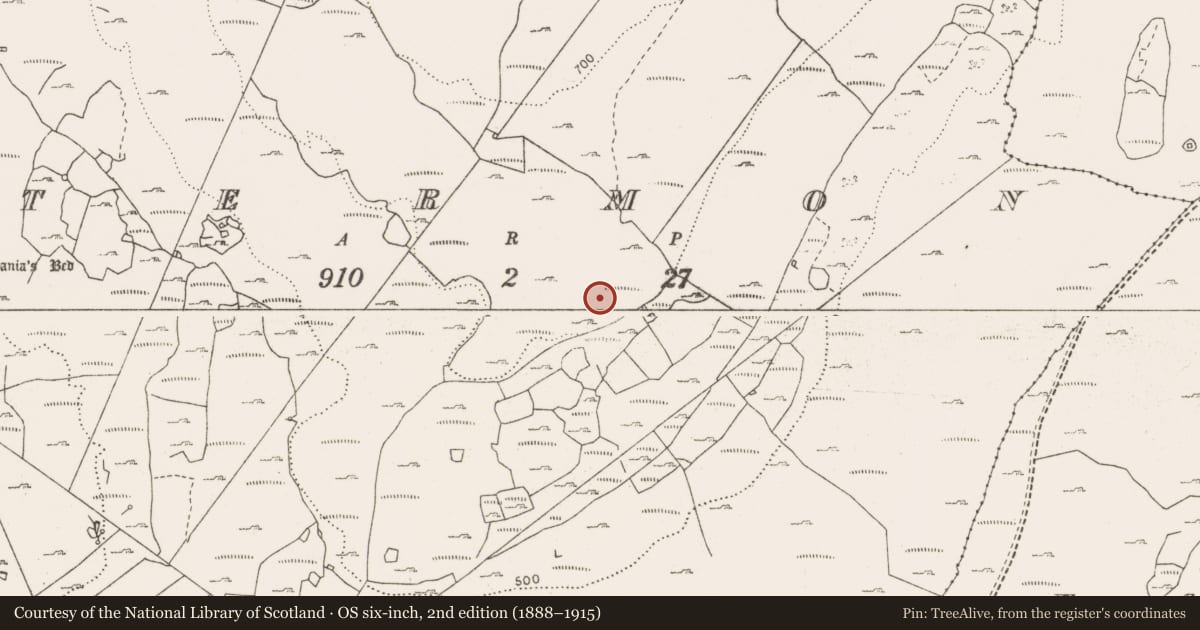 Ordnance Survey six-inch map, 2nd edition (1888–1915) covering the location of Cairn - unclassified, Termon, County Clare, with a pin at the register's coordinates
