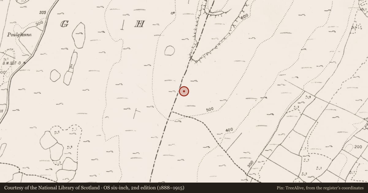 Ordnance Survey six-inch map, 2nd edition (1888–1915) covering the location of Field boundary, Bouleevin, County Clare, with a pin at the register's coordinates
