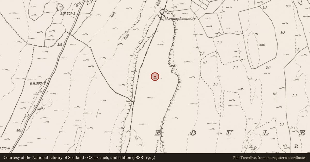 Ordnance Survey six-inch map, 2nd edition (1888–1915) covering the location of Field boundary, Bouleevin, County Clare, with a pin at the register's coordinates