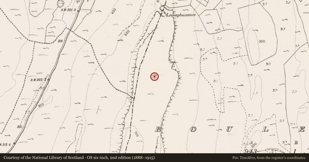 Ordnance Survey six-inch map, 2nd edition (1888–1915) covering the location of Enclosure, Bouleevin, County Clare, with a pin at the register's coordinates