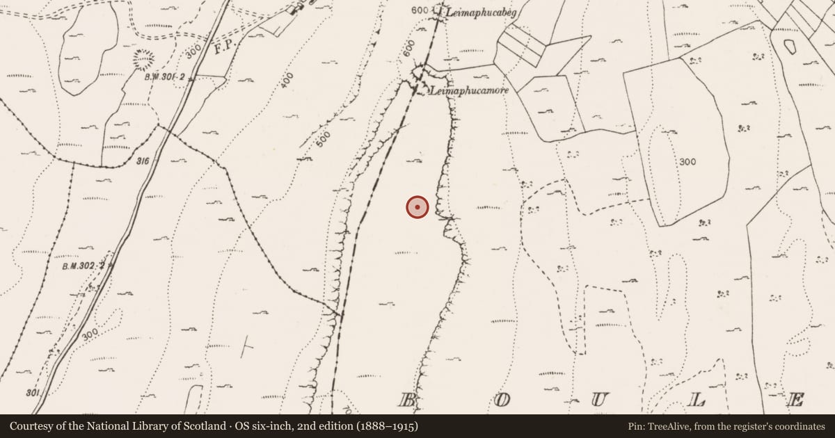 Ordnance Survey six-inch map, 2nd edition (1888–1915) covering the location of Field boundary, Bouleevin, County Clare, with a pin at the register's coordinates
