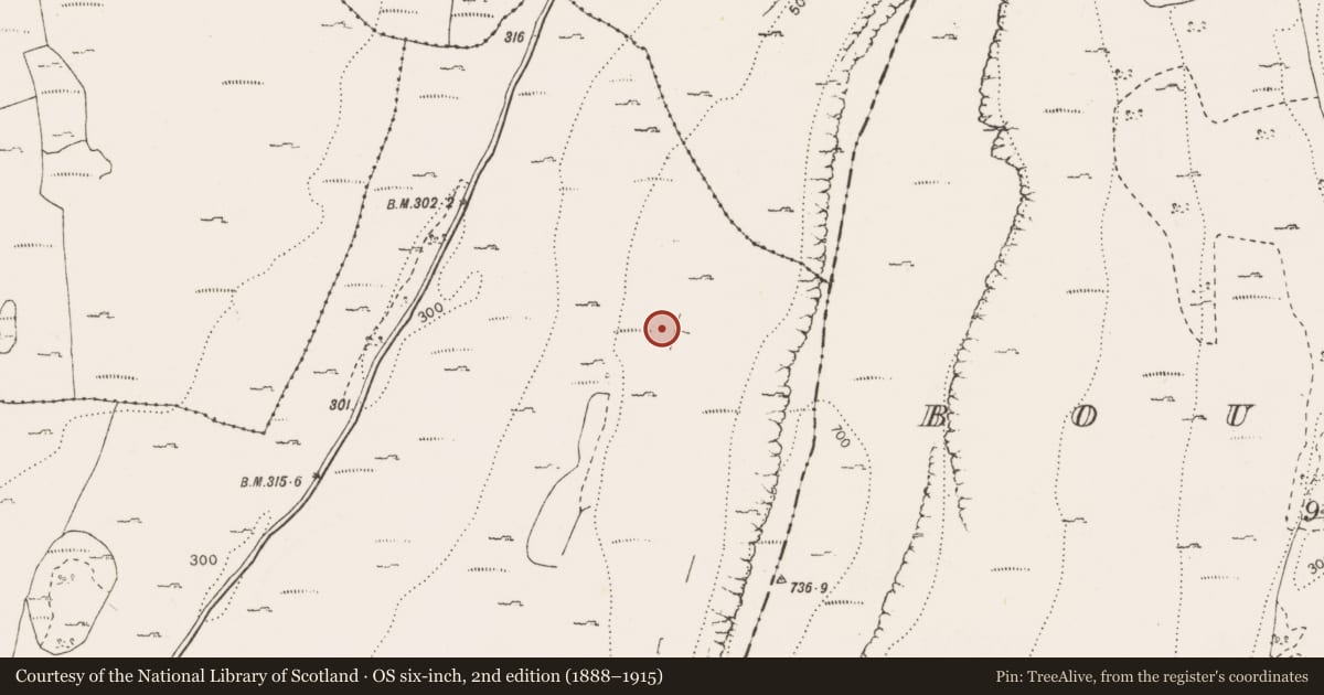 Ordnance Survey six-inch map, 2nd edition (1888–1915) covering the location of Field boundary, Cappagh, County Clare, with a pin at the register's coordinates