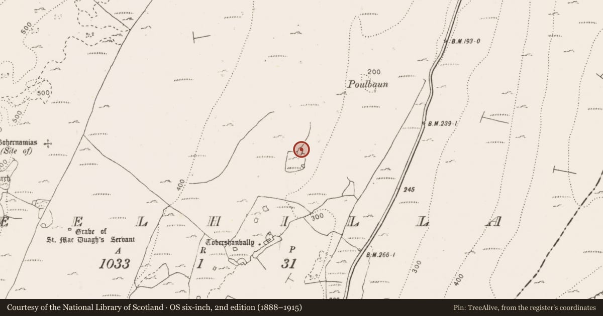 Ordnance Survey six-inch map, 2nd edition (1888–1915) covering the location of Enclosure, Keelhilla, County Clare, with a pin at the register's coordinates