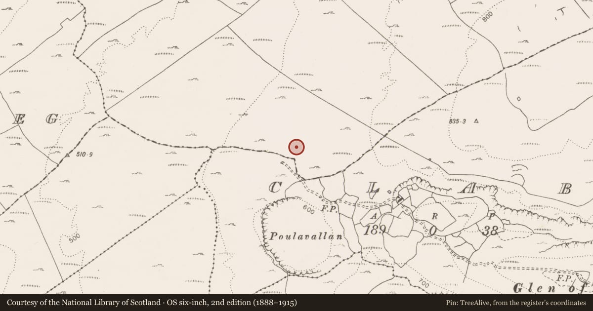 Ordnance Survey six-inch map, 2nd edition (1888–1915) covering the location of Ringfort - cashel, Gortaclare, County Clare, with a pin at the register's coordinates
