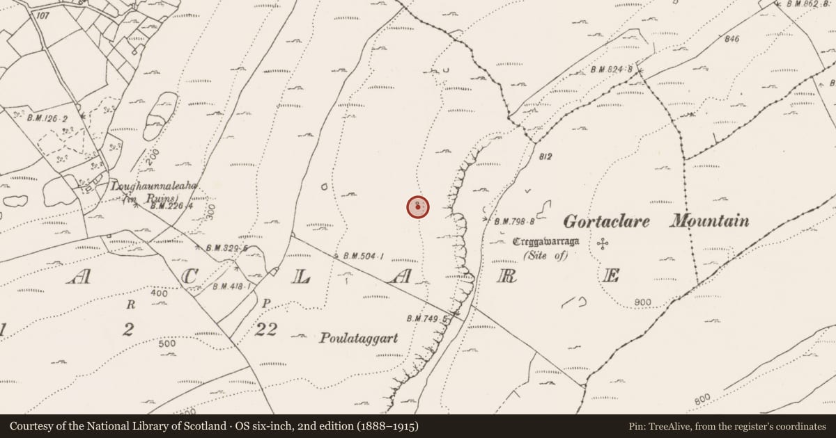 Ordnance Survey six-inch map, 2nd edition (1888–1915) covering the location of Fulacht fia, Gortaclare, County Clare, with a pin at the register's coordinates