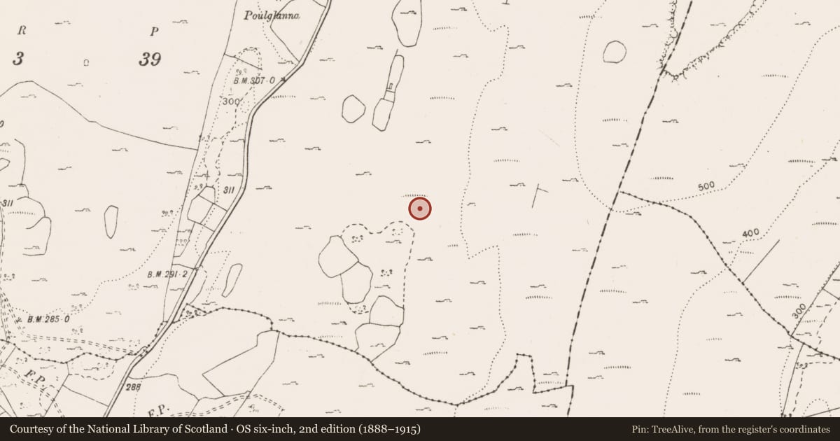 Ordnance Survey six-inch map, 2nd edition (1888–1915) covering the location of Fulacht fia, Cappagh, County Clare, with a pin at the register's coordinates