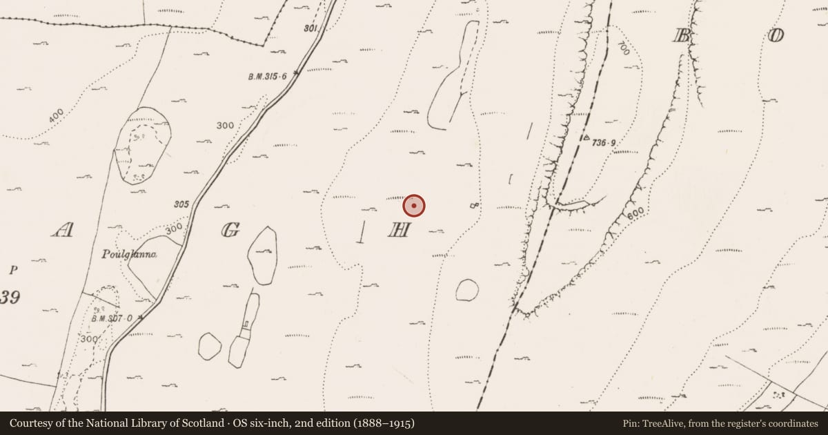 Ordnance Survey six-inch map, 2nd edition (1888–1915) covering the location of Fulacht fia, Cappagh, County Clare, with a pin at the register's coordinates
