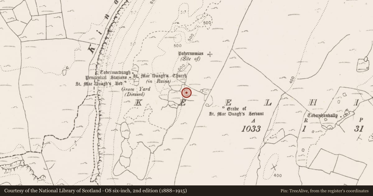 Ordnance Survey six-inch map, 2nd edition (1888–1915) covering the location of Field system, Keelhilla, County Clare, with a pin at the register's coordinates