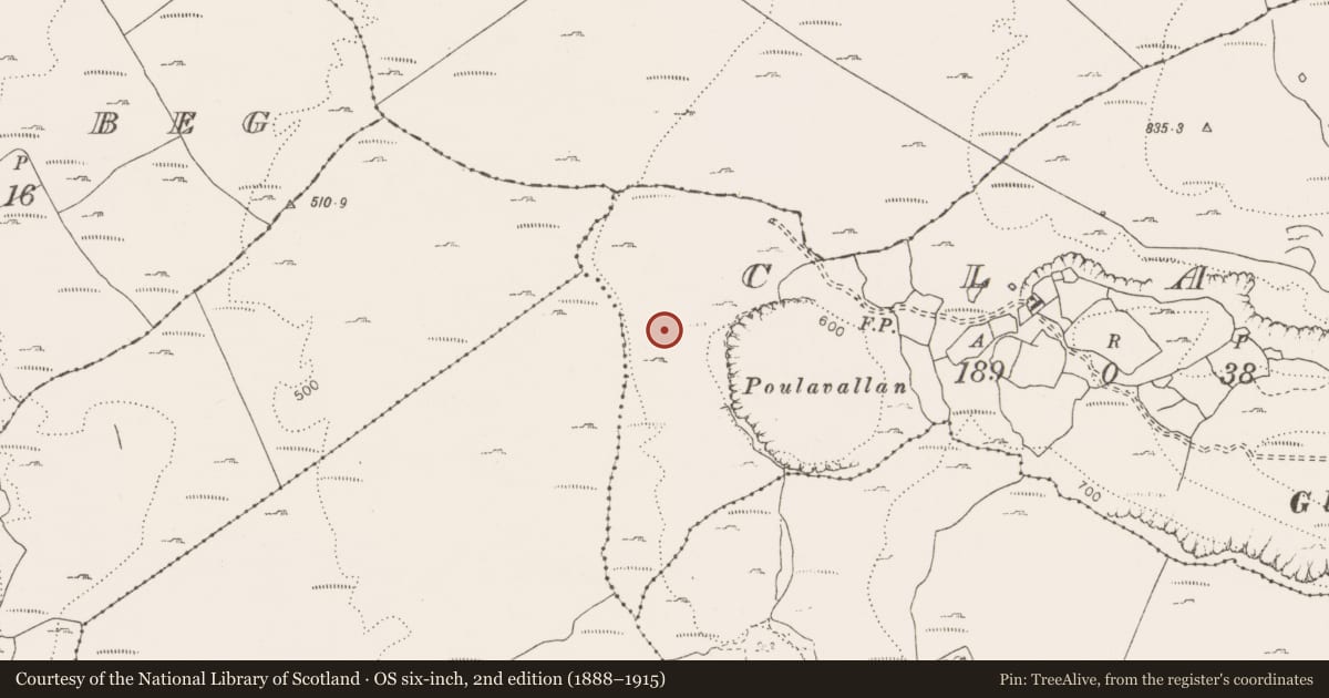 Ordnance Survey six-inch map, 2nd edition (1888–1915) covering the location of Cairn - ring-cairn, Clab, County Clare, with a pin at the register's coordinates
