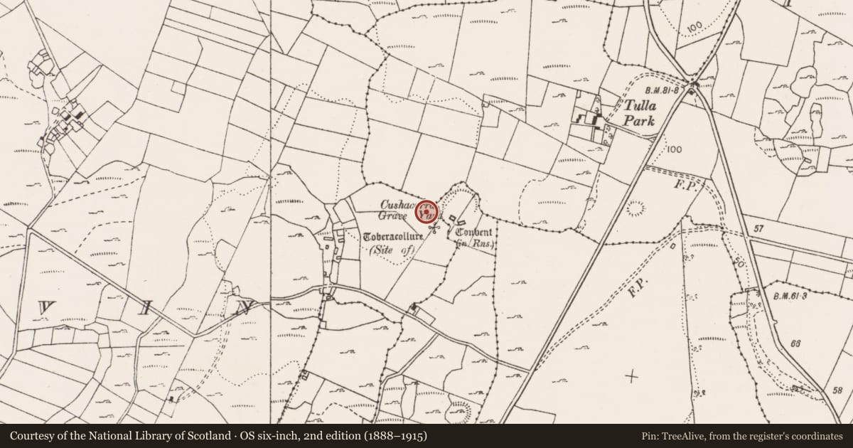 Ordnance Survey six-inch map, 2nd edition (1888–1915) covering the location of Ritual site - holy well, Bouleevin, County Clare, with a pin at the register's coordinates