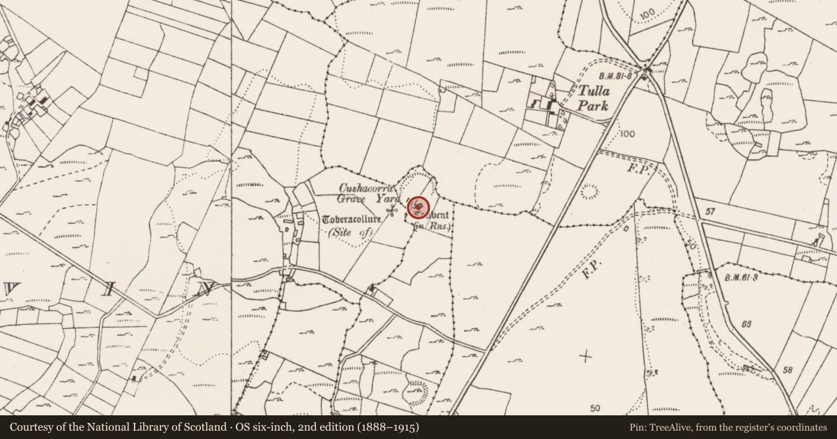 Ordnance Survey six-inch map, 2nd edition (1888–1915) covering the location of Church, Cushacorra, County Clare, with a pin at the register's coordinates