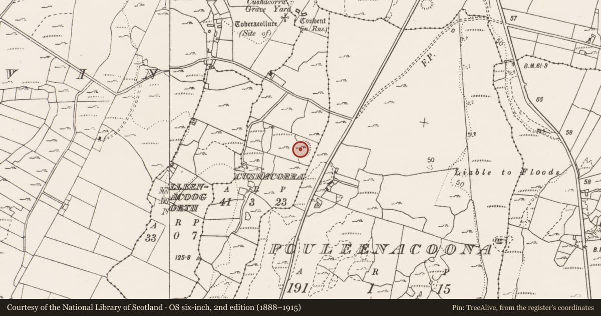 Ordnance Survey six-inch map, 2nd edition (1888–1915) covering the location of Enclosure, Cushacorra, County Clare, with a pin at the register's coordinates
