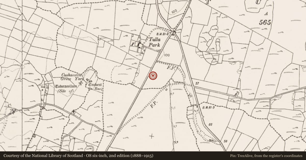 Ordnance Survey six-inch map, 2nd edition (1888–1915) covering the location of Ringfort - rath, Tulla, County Clare, with a pin at the register's coordinates
