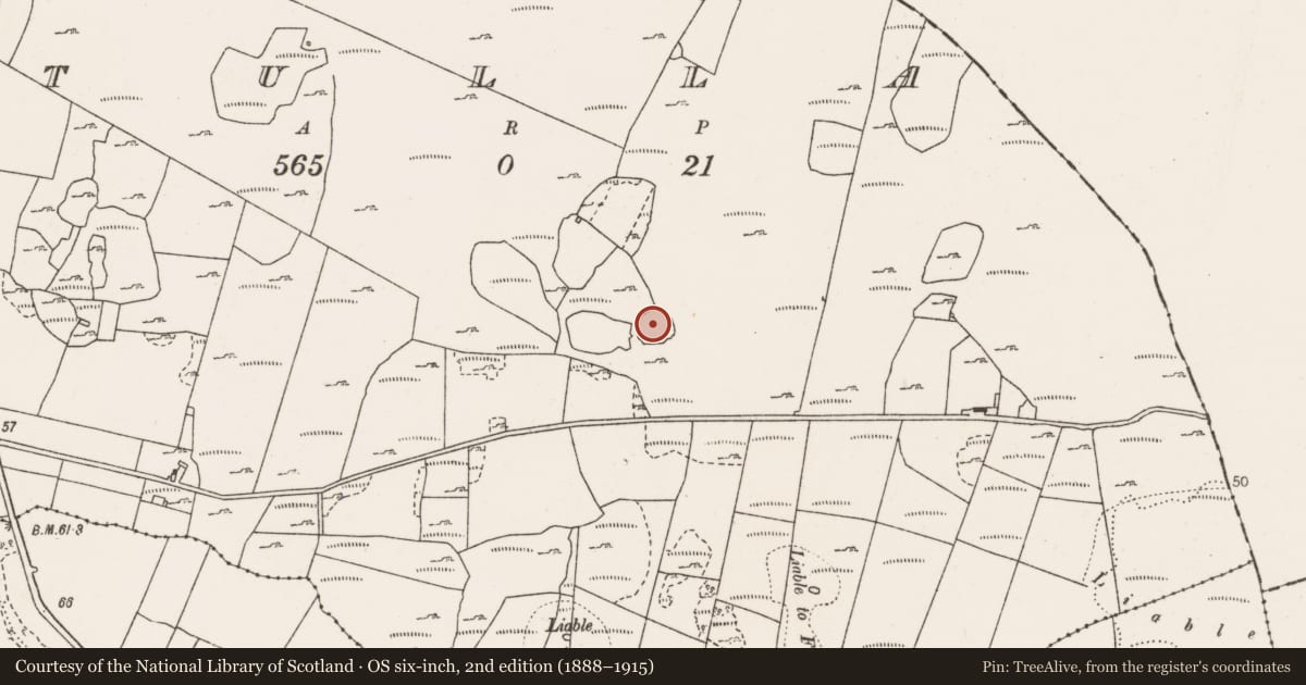 Ordnance Survey six-inch map, 2nd edition (1888–1915) covering the location of Enclosure, Tulla, County Clare, with a pin at the register's coordinates