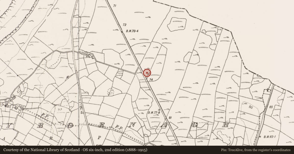 Ordnance Survey six-inch map, 2nd edition (1888–1915) covering the location of Fulacht fia, Ballybornagh, County Clare, with a pin at the register's coordinates