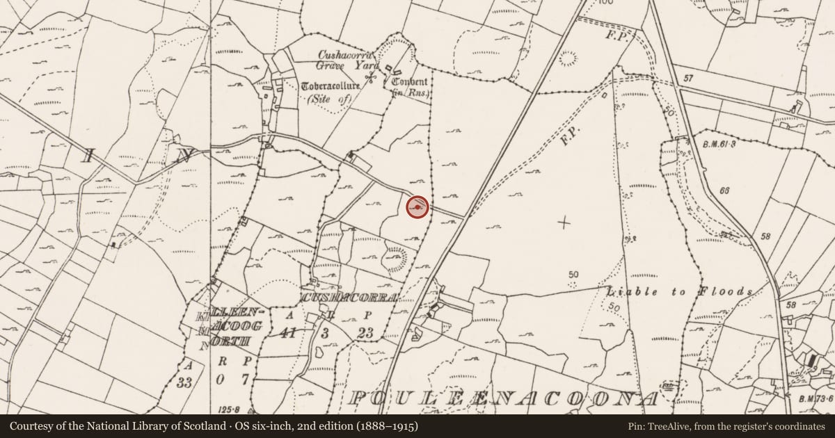 Ordnance Survey six-inch map, 2nd edition (1888–1915) covering the location of Enclosure, Cushacorra, County Clare, with a pin at the register's coordinates