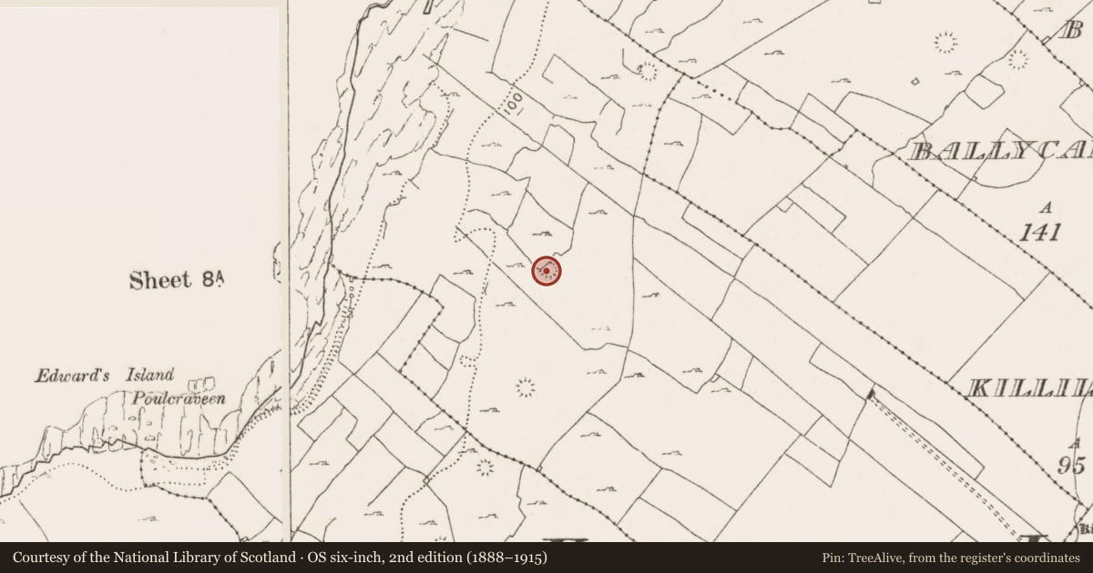 Ordnance Survey six-inch map, 2nd edition (1888–1915) covering the location of Ringfort - cashel, Teergonean, County Clare, with a pin at the register's coordinates