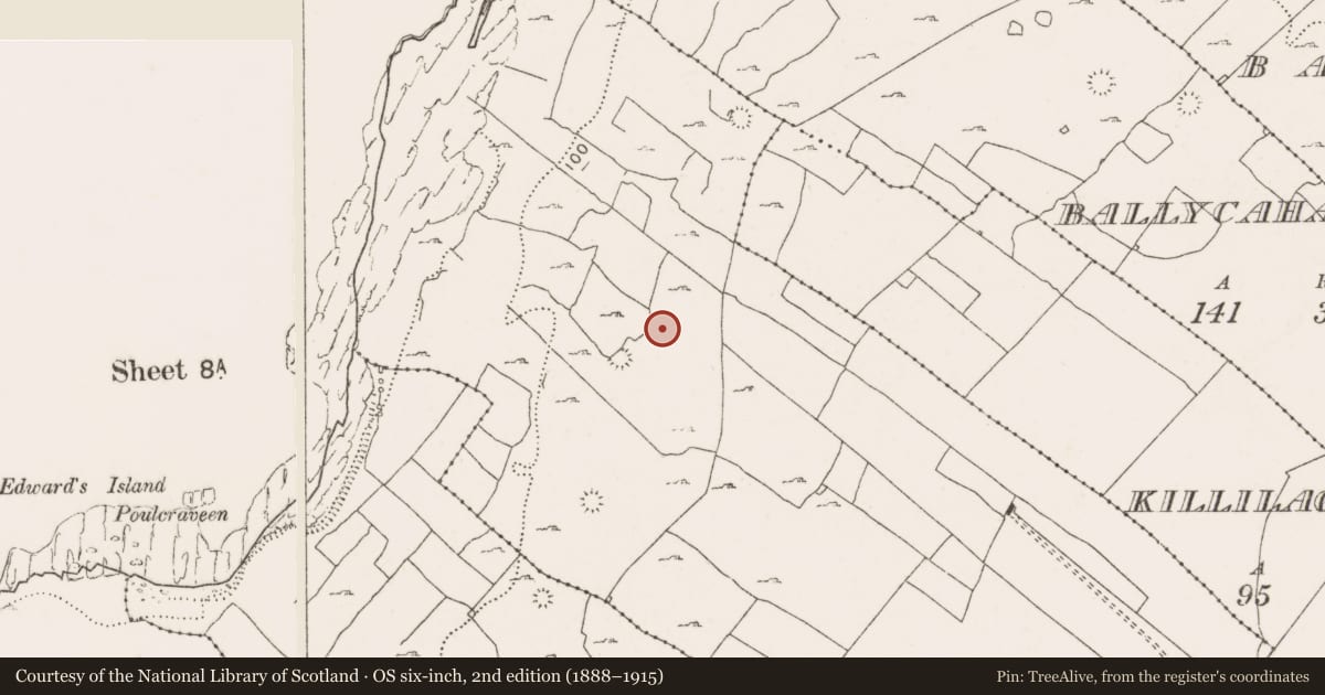 Ordnance Survey six-inch map, 2nd edition (1888–1915) covering the location of Ringfort - cashel, Teergonean, County Clare, with a pin at the register's coordinates