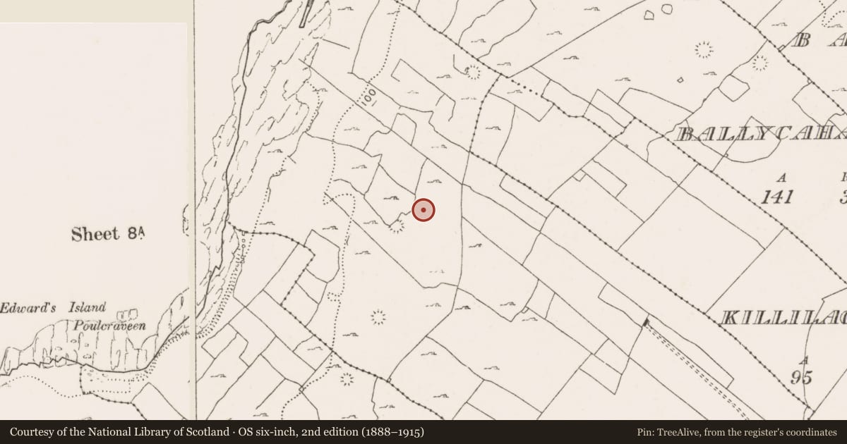 Ordnance Survey six-inch map, 2nd edition (1888–1915) covering the location of Souterrain, Teergonean, County Clare, with a pin at the register's coordinates