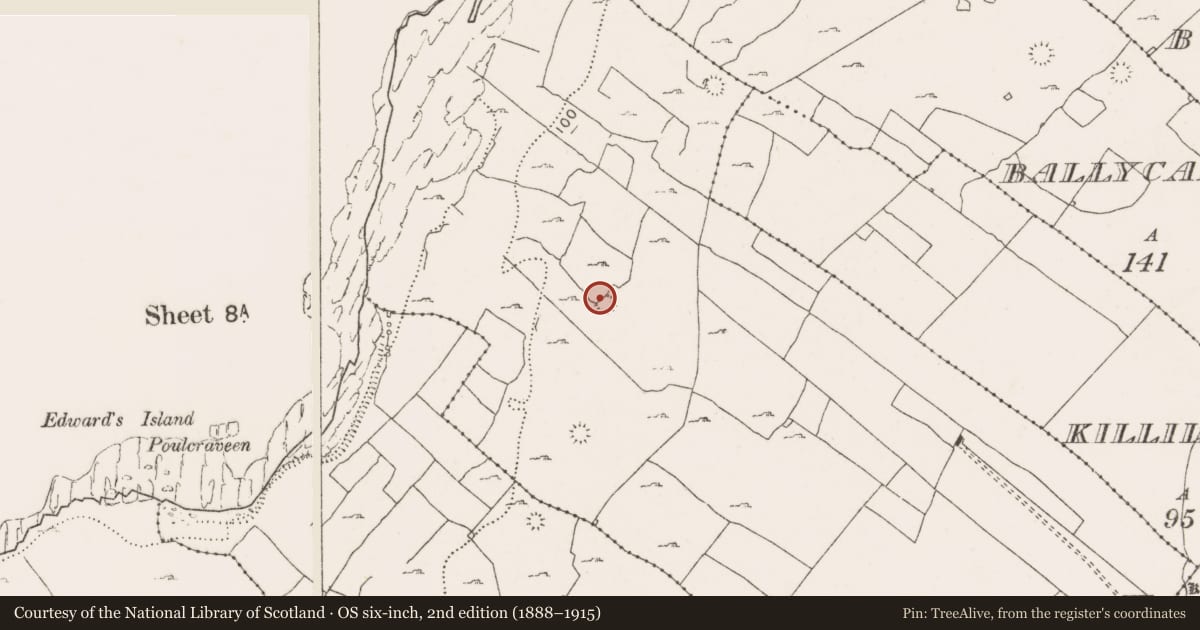 Ordnance Survey six-inch map, 2nd edition (1888–1915) covering the location of Souterrain, Teergonean, County Clare, with a pin at the register's coordinates