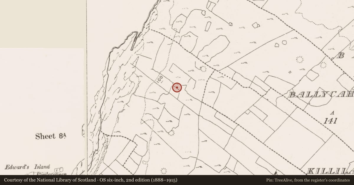Ordnance Survey six-inch map, 2nd edition (1888–1915) covering the location of Megalithic tomb - court tomb, Teergonean, County Clare, with a pin at the register's coordinates