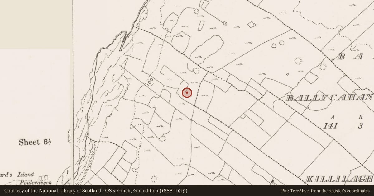 Ordnance Survey six-inch map, 2nd edition (1888–1915) covering the location of Enclosure, Teergonean, County Clare, with a pin at the register's coordinates