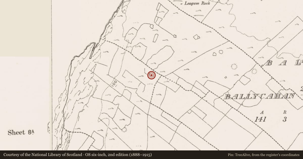 Ordnance Survey six-inch map, 2nd edition (1888–1915) covering the location of Ringfort - cashel, Teergonean, County Clare, with a pin at the register's coordinates