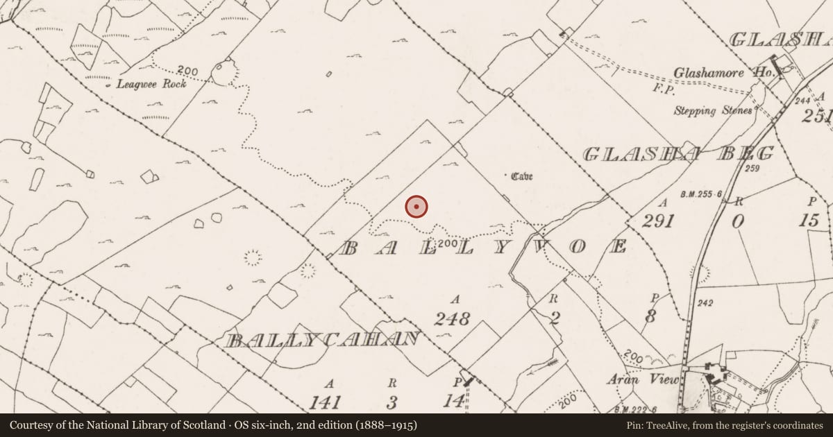 Ordnance Survey six-inch map, 2nd edition (1888–1915) covering the location of Field system, County Clare, with a pin at the register's coordinates