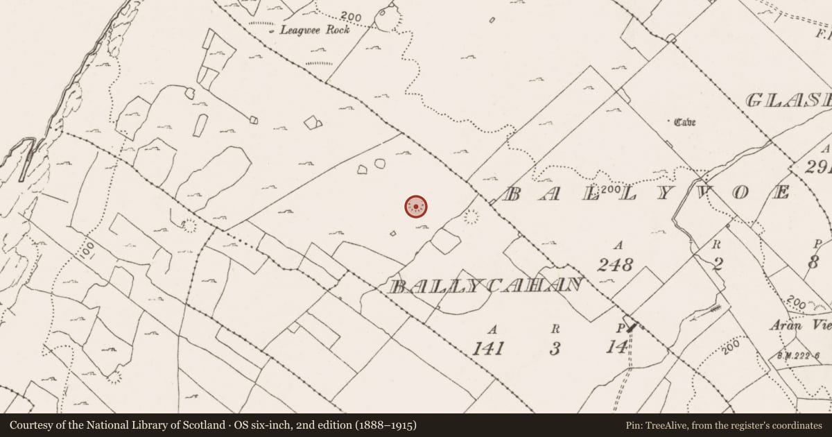 Ordnance Survey six-inch map, 2nd edition (1888–1915) covering the location of Ringfort - cashel, Ballycahan, County Clare, with a pin at the register's coordinates