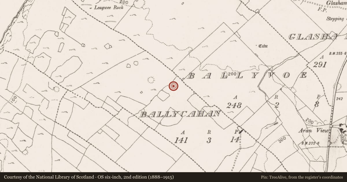 Ordnance Survey six-inch map, 2nd edition (1888–1915) covering the location of Ringfort - cashel, Ballycahan, County Clare, with a pin at the register's coordinates