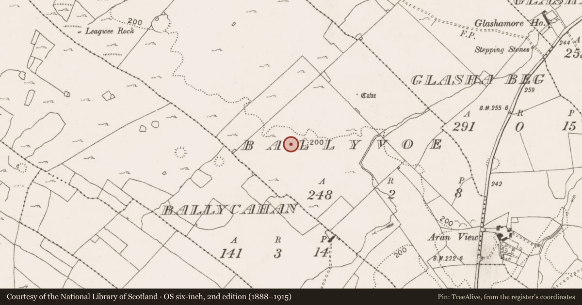 Ordnance Survey six-inch map, 2nd edition (1888–1915) covering the location of Enclosure, Ballyvoe, County Clare, with a pin at the register's coordinates