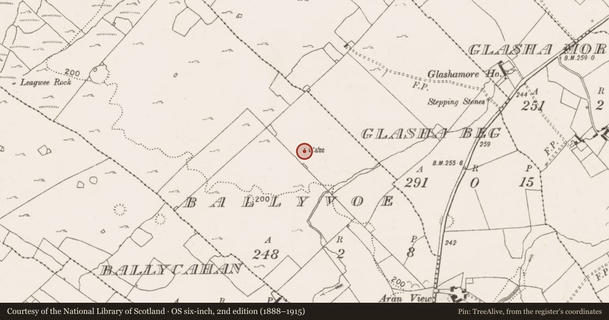 Ordnance Survey six-inch map, 2nd edition (1888–1915) covering the location of Souterrain, Ballyvoe, County Clare, with a pin at the register's coordinates