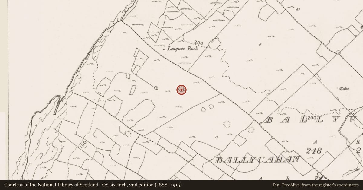 Ordnance Survey six-inch map, 2nd edition (1888–1915) covering the location of Enclosure, Ballycahan, County Clare, with a pin at the register's coordinates