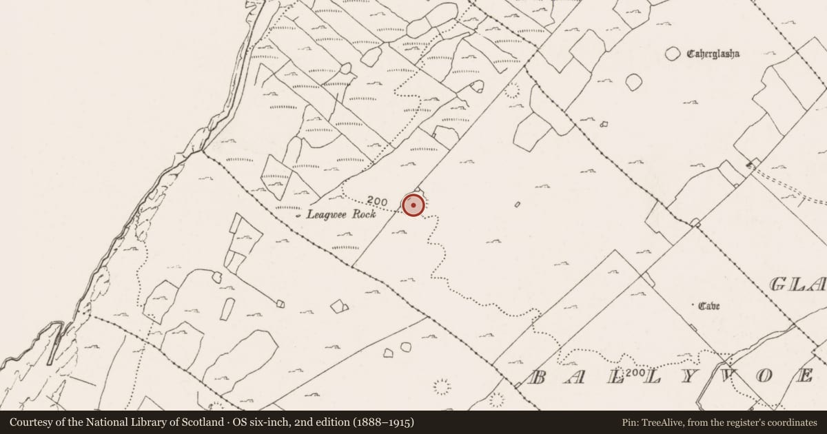 Ordnance Survey six-inch map, 2nd edition (1888–1915) covering the location of Ringfort - cashel, Ballyvoe, County Clare, with a pin at the register's coordinates