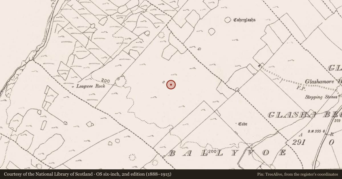 Ordnance Survey six-inch map, 2nd edition (1888–1915) covering the location of Ringfort - cashel, Ballyvoe, County Clare, with a pin at the register's coordinates
