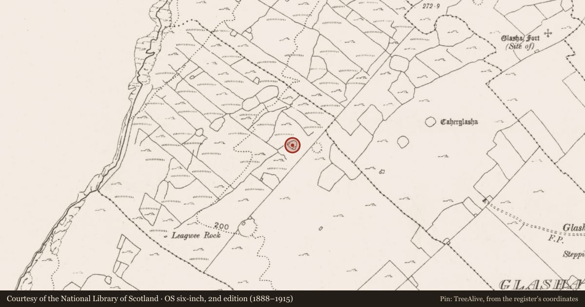 Ordnance Survey six-inch map, 2nd edition (1888–1915) covering the location of Ringfort - cashel, Ballyvoe, County Clare, with a pin at the register's coordinates