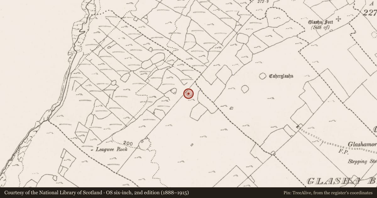 Ordnance Survey six-inch map, 2nd edition (1888–1915) covering the location of Ringfort - cashel, Ballyvoe, County Clare, with a pin at the register's coordinates