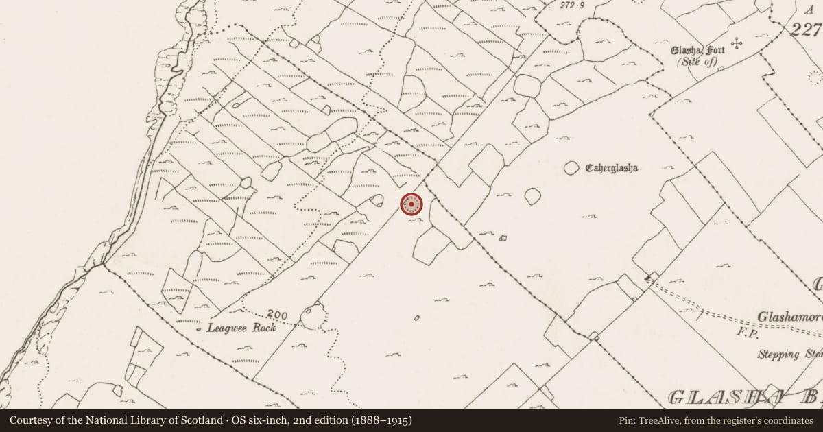 Ordnance Survey six-inch map, 2nd edition (1888–1915) covering the location of Souterrain, Ballyvoe, County Clare, with a pin at the register's coordinates