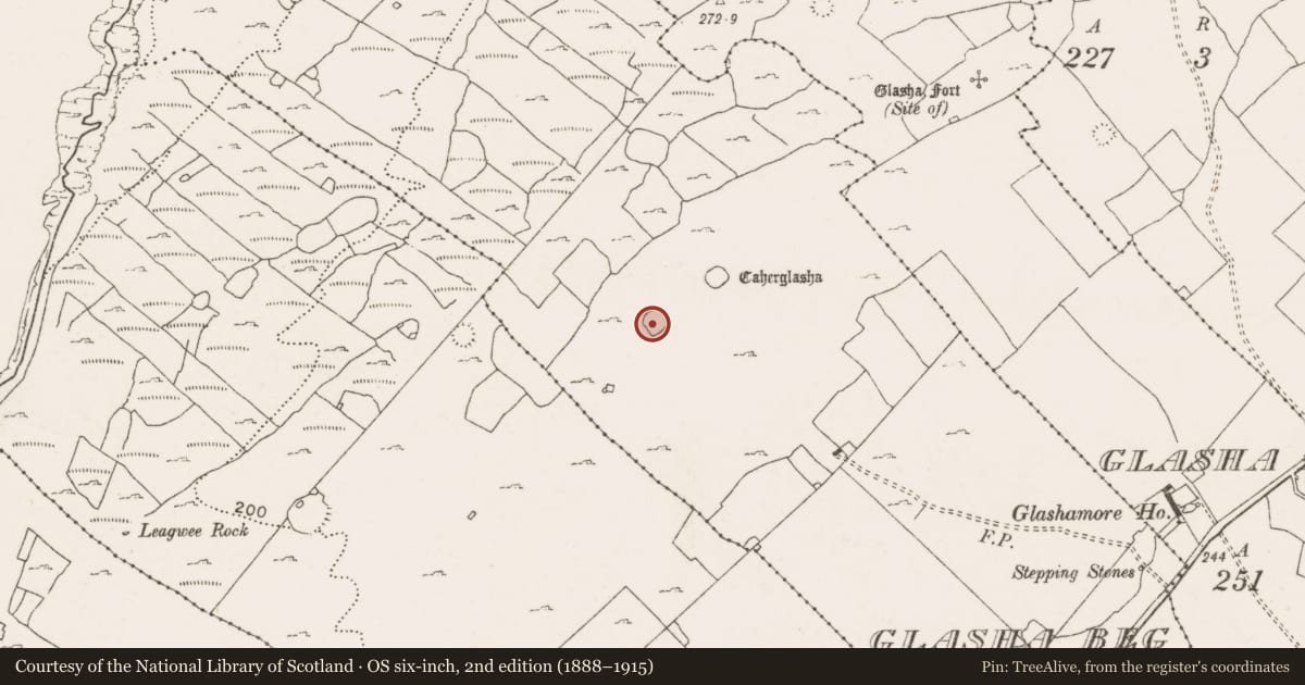 Ordnance Survey six-inch map, 2nd edition (1888–1915) covering the location of Ringfort - cashel, Glasha Beg, County Clare, with a pin at the register's coordinates
