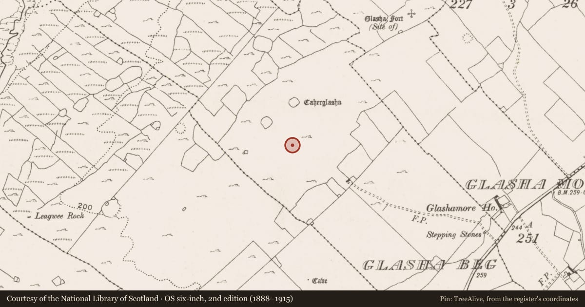 Ordnance Survey six-inch map, 2nd edition (1888–1915) covering the location of House - indeterminate date, Glasha Beg, County Clare, with a pin at the register's coordinates