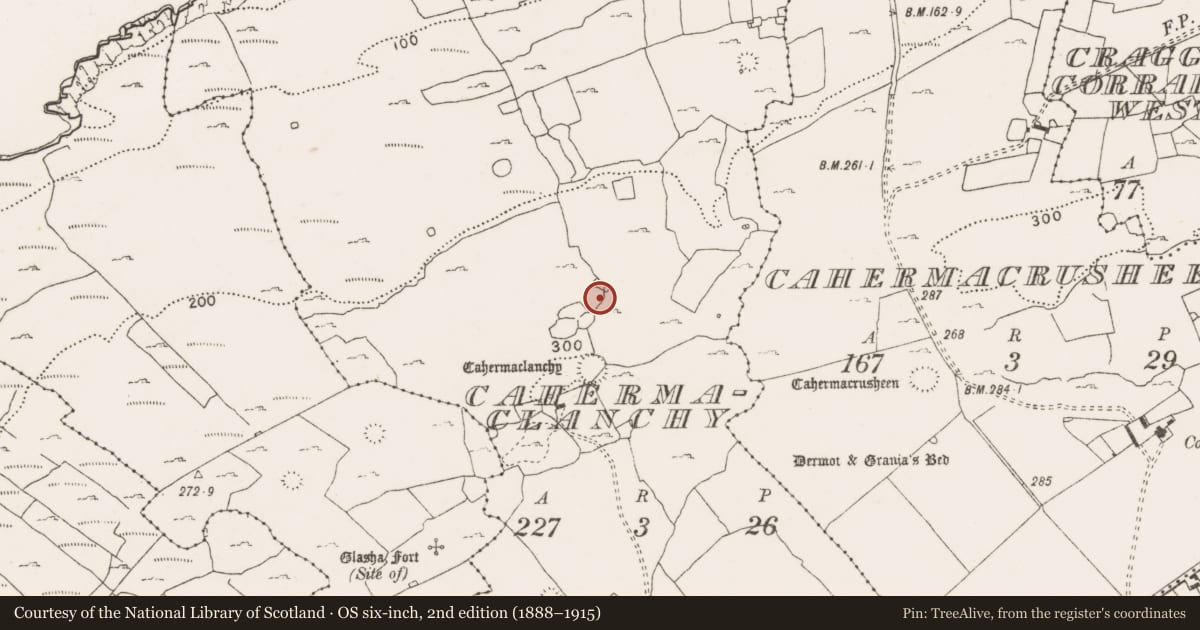 Ordnance Survey six-inch map, 2nd edition (1888–1915) covering the location of Ringfort - cashel, Cahermaclanchy, County Clare, with a pin at the register's coordinates