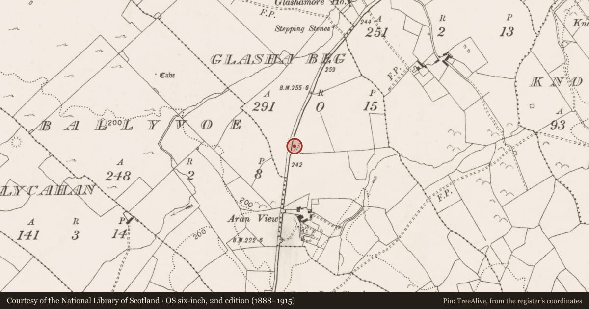 Ordnance Survey six-inch map, 2nd edition (1888–1915) covering the location of Ringfort - rath, Glasha Beg, County Clare, with a pin at the register's coordinates
