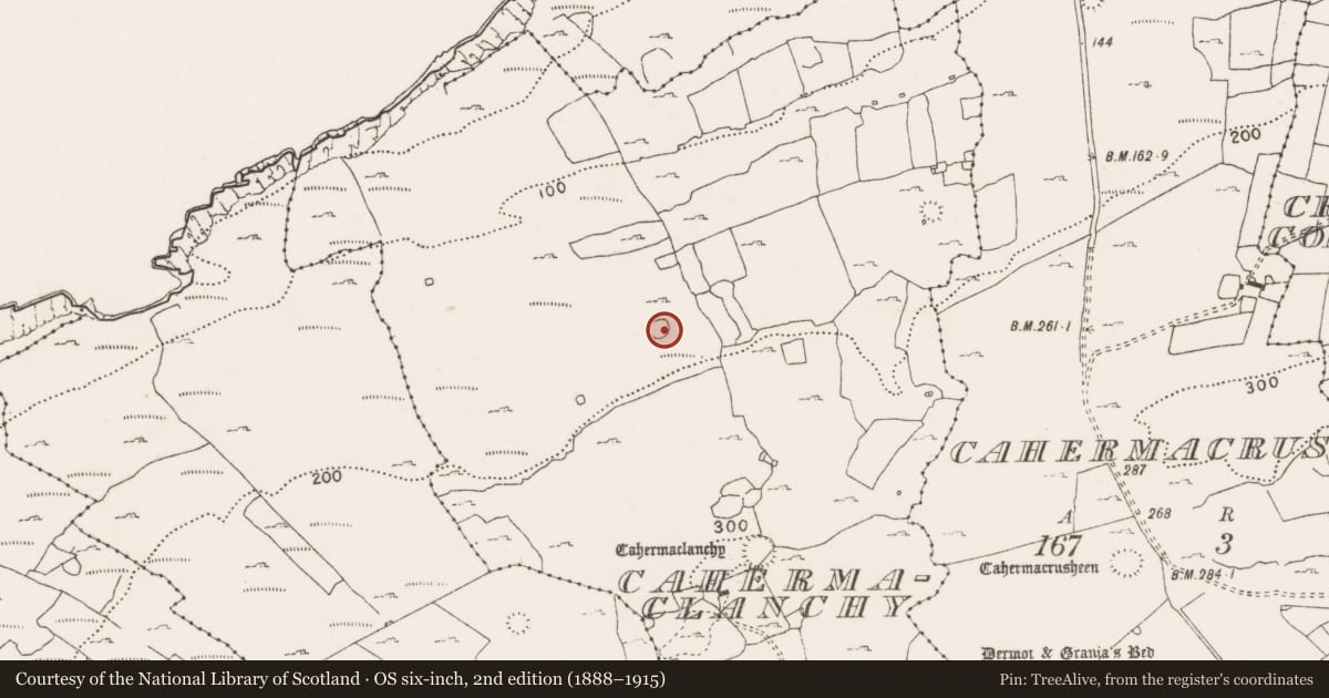 Ordnance Survey six-inch map, 2nd edition (1888–1915) covering the location of Ringfort - cashel, Cahermaclanchy, County Clare, with a pin at the register's coordinates