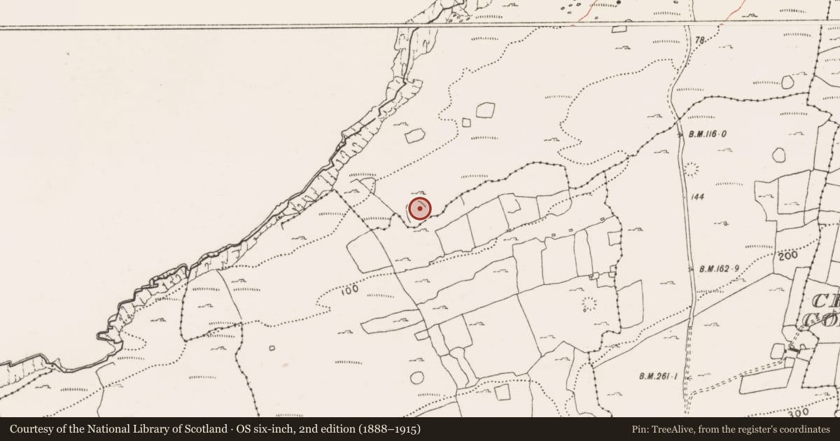 Ordnance Survey six-inch map, 2nd edition (1888–1915) covering the location of Ringfort - cashel, Ballyryan, County Clare, with a pin at the register's coordinates