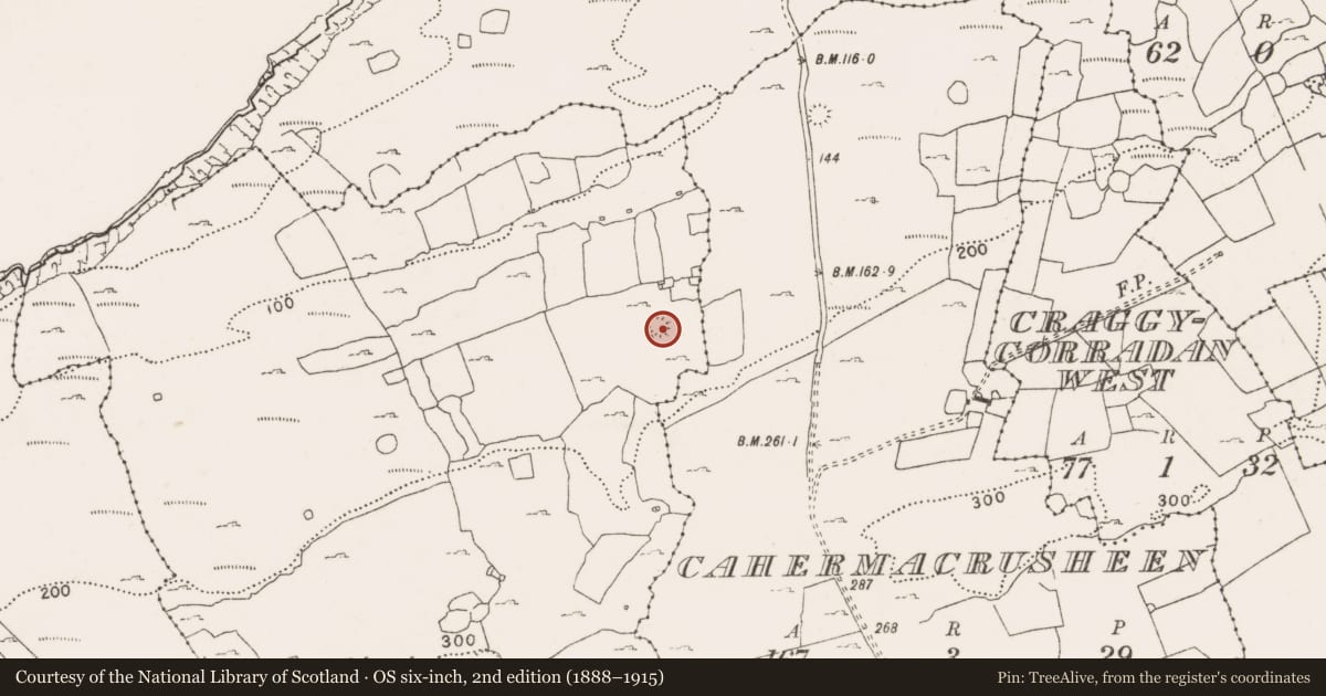 Ordnance Survey six-inch map, 2nd edition (1888–1915) covering the location of Ringfort - cashel, Cahermaclanchy, County Clare, with a pin at the register's coordinates