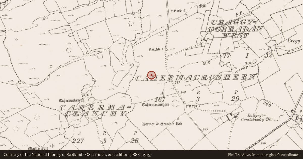 Ordnance Survey six-inch map, 2nd edition (1888–1915) covering the location of Ringfort - cashel, Cahermacrusheen, County Clare, with a pin at the register's coordinates